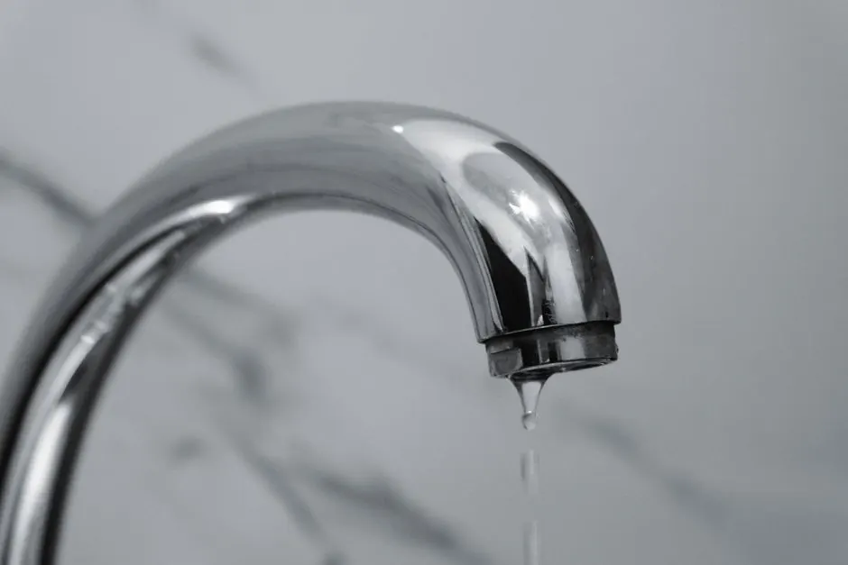 Faucet and Fixture Leak Repair you can count on