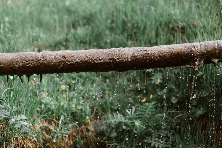 Williston leak detection — Leak Detection you can rely on